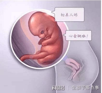 借卵代生包女孩代生包成功